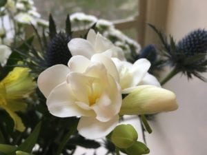 Flower Gift Subscription