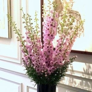 Luxury Floral Stems Subscription