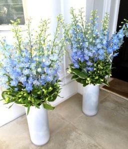 Luxury Flower Subscriptions for London