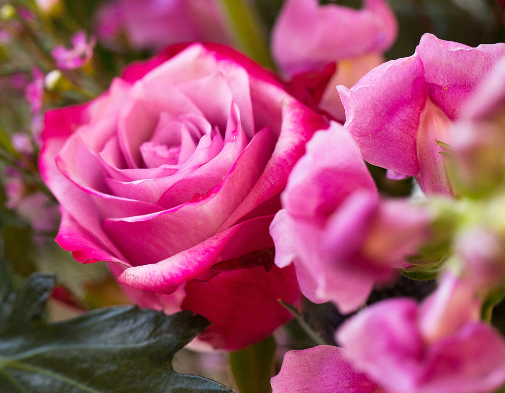 Flower Gift Voucher - £360