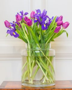 Plant Subscription Gift