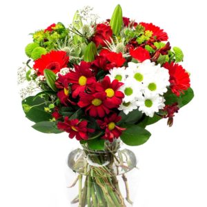 Carnations Bouquet - Red