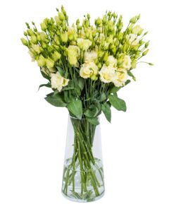 Lisianthus - Alissa Yellow