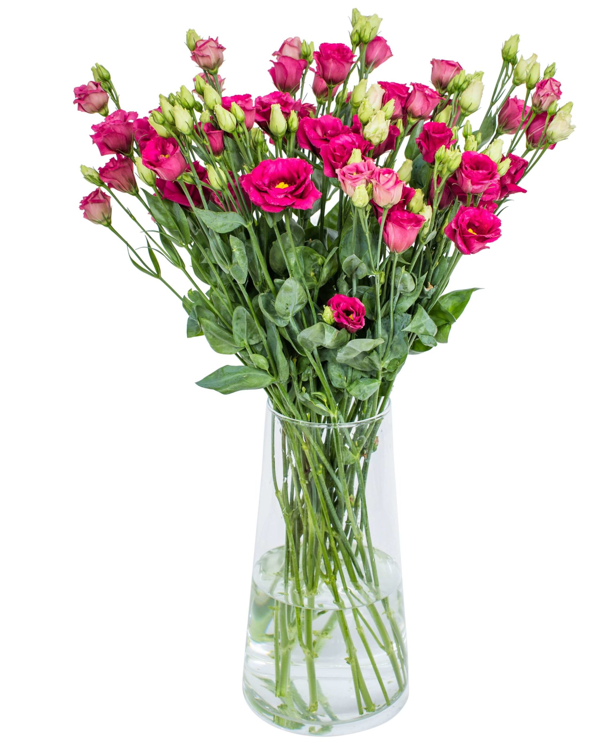 Lisianthus - Arosa Red Flowers by Flourish | Use Code for 10% OFF