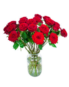 30 Long Stemmed Red Roses - Fresh Red Roses, Red Roses Delivery, 30 Red Roses, Red Roses Bouquet, 30 Red Roses Bouquet, Red Roses Delivered, Red Roses UK, Buy Red Roses, Send Red Roses