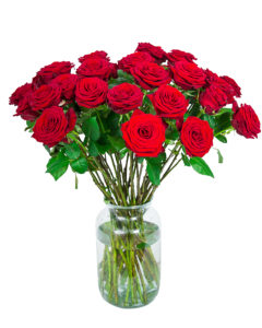 36 Long Stemmed Red Roses - Fresh Red Roses, Red Roses Delivery, 36 Red Roses, Red Roses Bouquet, 36 Red Roses Bouquet, Red Roses Delivered, Red Roses UK, Buy Red Roses, Send Red Roses