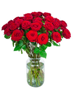 40 Long Stemmed Red Roses - Fresh Red Roses, Red Roses Delivery, 40 Red Roses, Red Roses Bouquet, 40 Red Roses Bouquet, Red Roses Delivered, Red Roses UK, Buy Red Roses, Send Red Roses