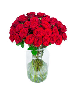 48 Long Stemmed Red Roses - Fresh Red Roses, Red Roses Delivery, 48 Red Roses, Red Roses Bouquet, 48 Red Roses Bouquet, Red Roses Delivered, Red Roses UK, Buy Red Roses, Send Red Roses