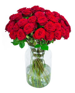 50 Long Stemmed Red Roses - Fresh Red Roses, Red Roses Delivery, 50 Red Roses, Red Roses Bouquet, 50 Red Roses Bouquet, Red Roses Delivered, Red Roses UK, Buy Red Roses, Send Red Roses