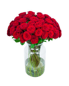 60 Long Stemmed Red Roses - Fresh Red Roses, Red Roses Delivery, 60 Red Roses, Red Roses Bouquet, 60 Red Roses Bouquet, Red Roses Delivered, Red Roses UK, Buy Red Roses, Send Red Roses