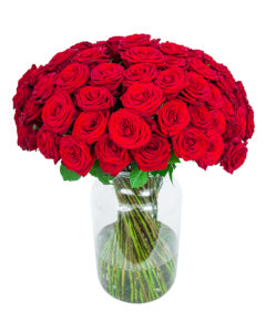 75 Long Stemmed Red Roses - Fresh Red Roses, Red Roses Delivery, 75 Red Roses, Red Roses Bouquet, 75 Red Roses Bouquet, Red Roses Delivered, Red Roses UK, Buy Red Roses, Send Red Roses