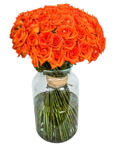 90 Long Stemmed Orange Roses – 90 Orange Roses, Fresh Orange Roses, Orange Roses Delivery UK, Orange Roses Bouquet, Orange Roses UK, Orange Roses Delivery, Orange Rose Bouquet
