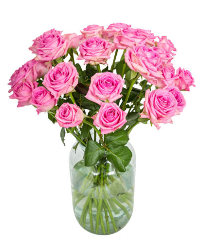 Long Stemmed Roses - Pink