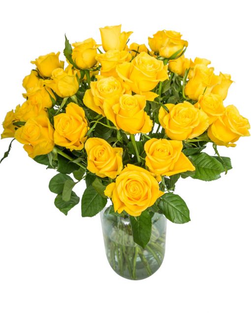 24 Long Stemmed Yellow Roses Fresh Yellow Roses, 24 Yellow Roses, Yellow Roses Bouquet, Yellow