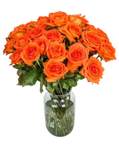 30 Long Stemmed Orange Roses – 30 Orange Roses, Fresh Orange Roses, Orange Roses Delivery UK, Orange Roses Bouquet, Orange Roses UK, Orange Roses Delivery, Orange Rose Bouquet