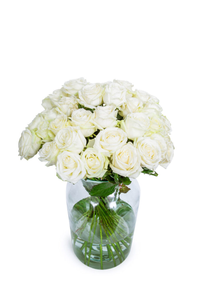 30 Long Stemmed White Roses - 30 White Roses, Fresh White Roses, White Roses Bouquet, Buy White Roses, White Roses Delivery UK, Order White Roses, White Avalanche Roses, Bunch of White Roses