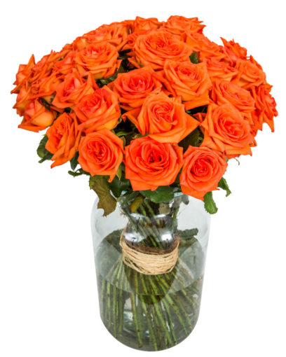 48 Long Stemmed Orange Roses – 48 Orange Roses, Fresh Orange Roses, Orange Roses Delivery UK, Orange Roses Bouquet, Orange Roses UK, Orange Roses Delivery, Orange Rose Bouquet