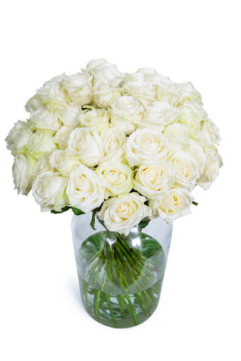 40 Long Stemmed White Roses - 40 White Roses, Fresh White Roses, White Roses Bouquet, Buy White Roses, White Roses Delivery UK, Order White Roses, White Avalanche Roses, Bunch of White Roses
