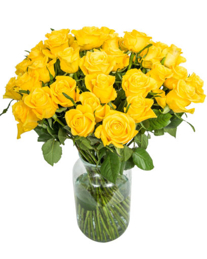 40 Long Stemmed Yellow Roses – Fresh Yellow Roses, 40 Yellow Roses, Yellow Roses Bouquet, Yellow Roses by Post, Buy Yellow Roses Delivered, Yellow Roses, Send Yellow Roses, Order Yellow Roses