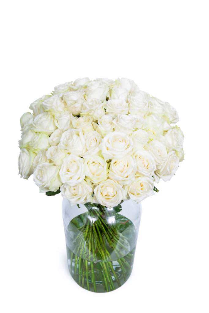 50 Long Stemmed White Roses - 50 White Roses, Fresh White Roses, White Roses Bouquet, Buy White Roses, White Roses Delivery UK, Order White Roses, White Avalanche Roses, Bunch of White Roses
