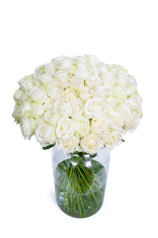 60 Long Stemmed White Roses 60 White Roses, Fresh White Roses, White