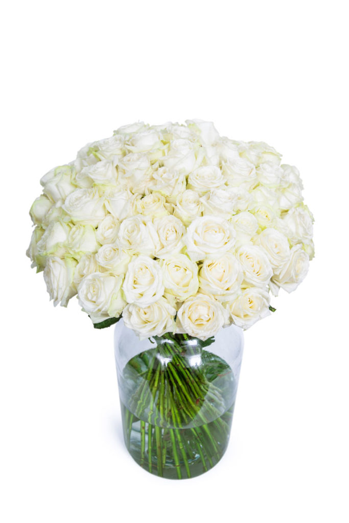 60 Long Stemmed White Roses - 60 White Roses, Fresh White Roses, White Roses Bouquet, Buy White Roses, White Roses Delivery UK, Order White Roses, White Avalanche Roses, Bunch of White Roses