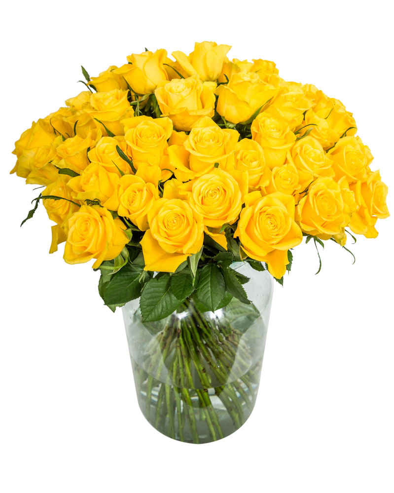 60 Long Stemmed Yellow Roses – Fresh Yellow Roses, 60 Yellow Roses, Yellow Roses  Bouquet, Yellow Roses by Post, Buy Yellow Roses Delivered, Yellow Roses,  Send Yellow Roses, Order Yellow Roses |