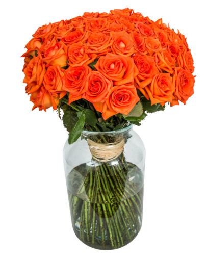 75 Long Stemmed Orange Roses – 75 Orange Roses, Fresh Orange Roses, Orange Roses Delivery UK, Orange Roses Bouquet, Orange Roses UK, Orange Roses Delivery, Orange Rose Bouquet