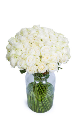 75 Long Stemmed White Roses - 75 White Roses, Fresh White Roses, White Roses Bouquet, Buy White Roses, White Roses Delivery UK, Order White Roses, White Avalanche Roses, Bunch of White Roses