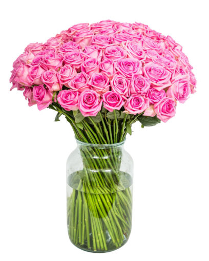 90 Long Stemmed Pink Roses - Fresh Pink Roses, Pink Roses, Pink Roses Bouquet, 90 Pink Roses, Order Pink Roses, Pink Rose Bouquet, Aqua Roses, Pink Roses Delivery, Bright Pink Roses, Send Pink Roses