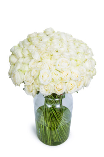 90 Long Stemmed White Roses - 90 White Roses, Fresh White Roses, White Roses Bouquet, Buy White Roses, White Roses Delivery UK, Order White Roses, White Avalanche Roses, Bunch of White Roses