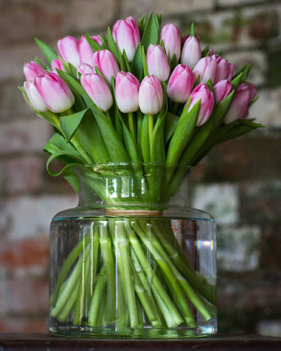 Tulips - Amazing 20% Price Drop