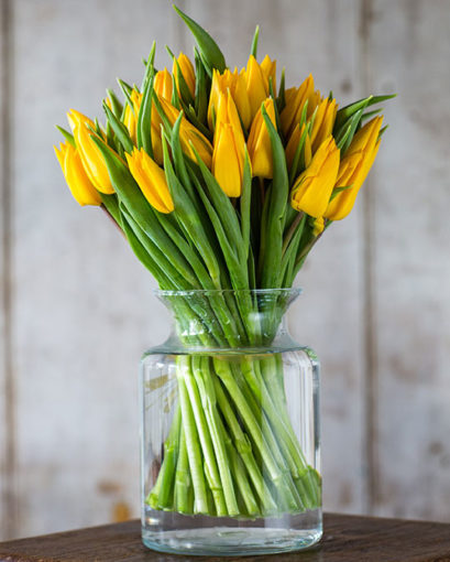 Yellow Tulips - 20 Stems