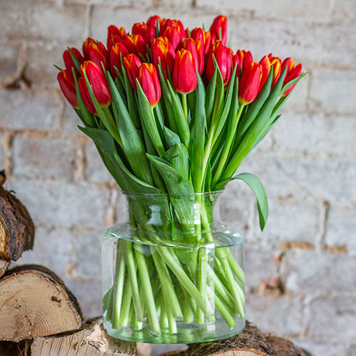 Tulips - Red & Yellow