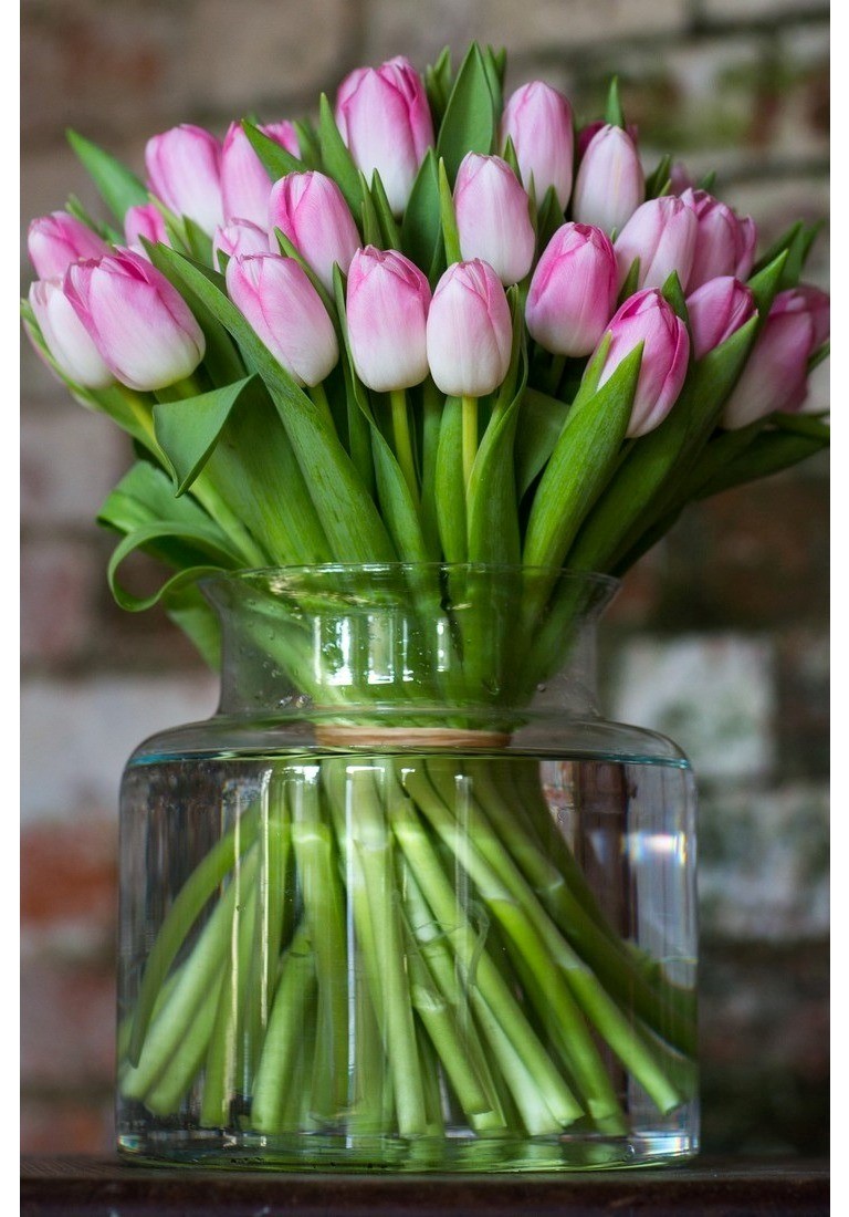 1100-800 - Single - Soft Pink Tulips - 3-2 (1)