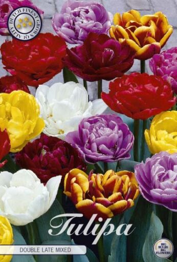 Mixed Tulip Bulbs - Double Late Mix